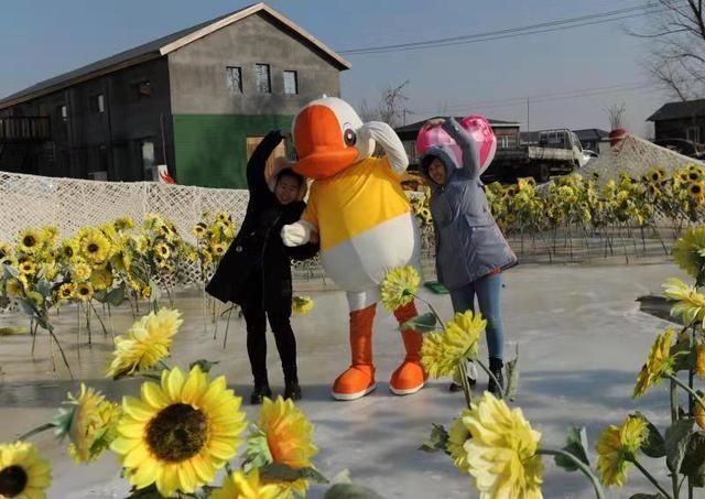 马亮的稻田画竟变成了冰川,随着天气变化一天一个样儿