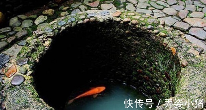 生活环境$古人掘井后,为何要在井里放鱼或乌龟?老祖宗的智慧不服不行
