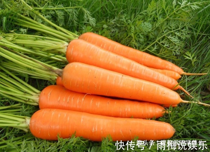 血管|胡萝卜配一宝,一起食用,眼睛明亮了,血管通了,肝脏更好了