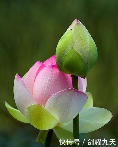 充满正能量的人生哲理语录,精辟透彻,让人幡然醒悟!