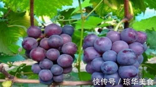 降脂|聪明人常吃3食物，能排毒清肠，降压降脂，人越来越年轻