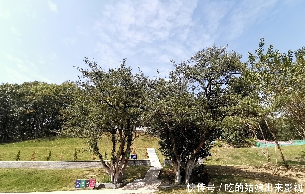 斗争|人生就是不断斗争的过程,曾国藩厚积薄发,创造了伟大的事业