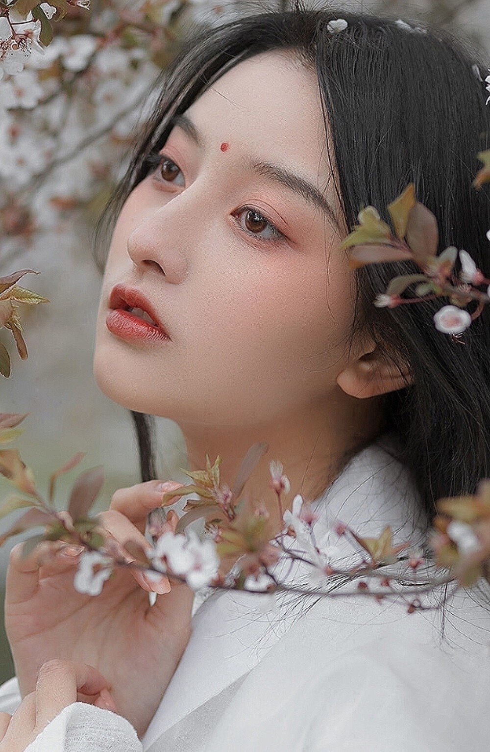 绿叶#五个著名成语,五首经典诗词,五个动人故事