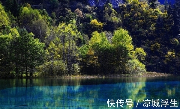 财运|9月4号之后,把握机会,勇往直前,事业发展顺利,财运旺盛