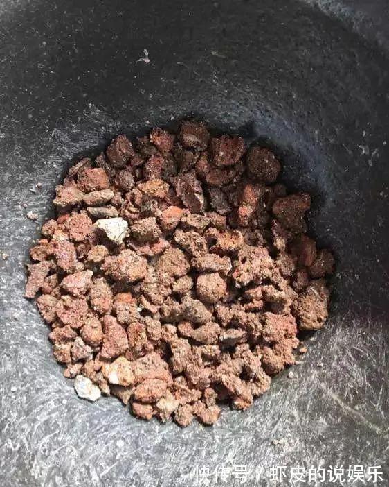 蜂窝煤种多肉,比颗粒土好用,疏松透气,10天根系长满盆