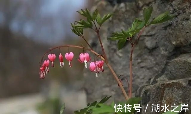 推进|双子座12月运势详细解读，工作机会增多，事业方向明确，贵人运好