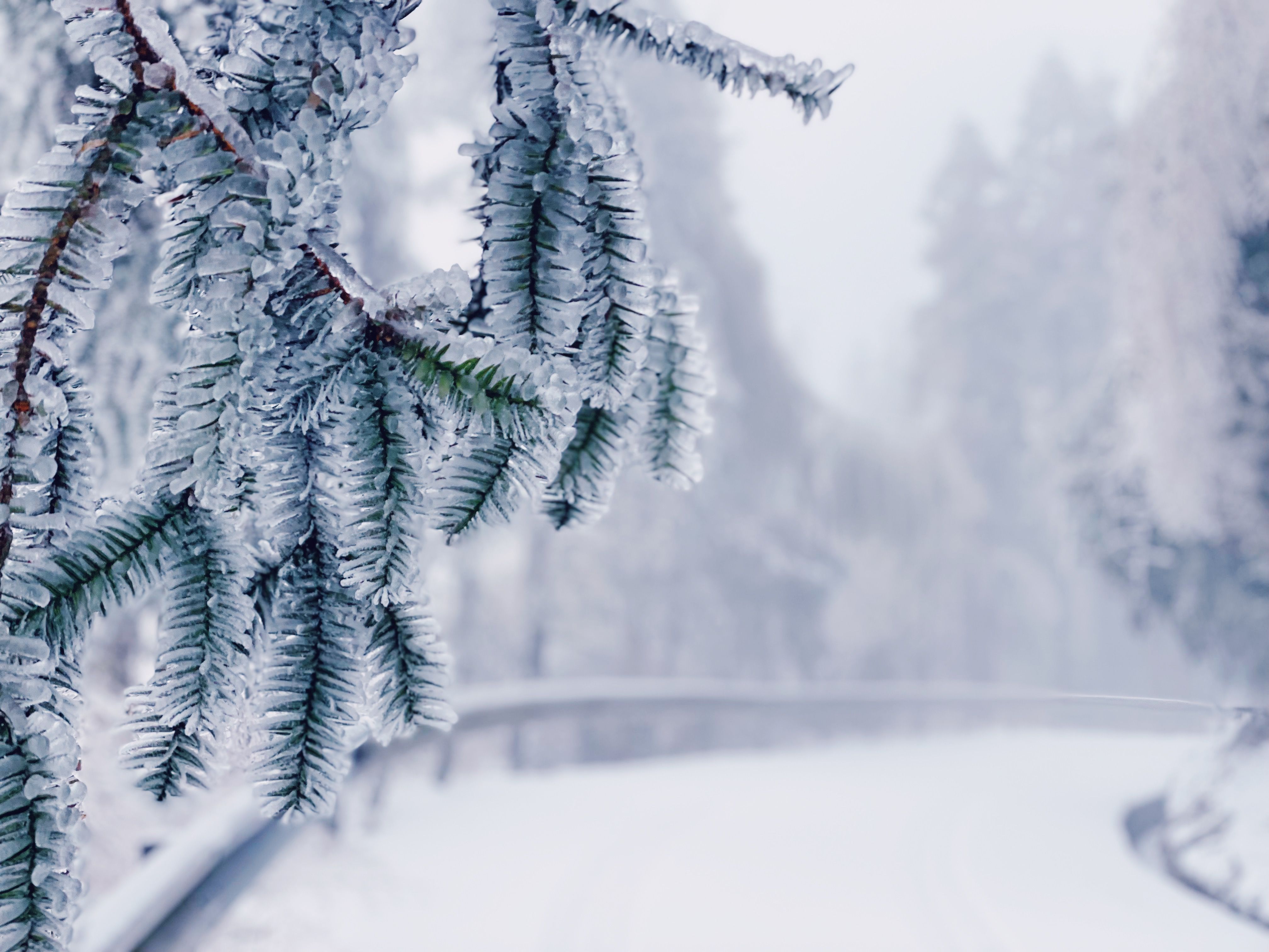 峰源雪景雾凇,美到心魄