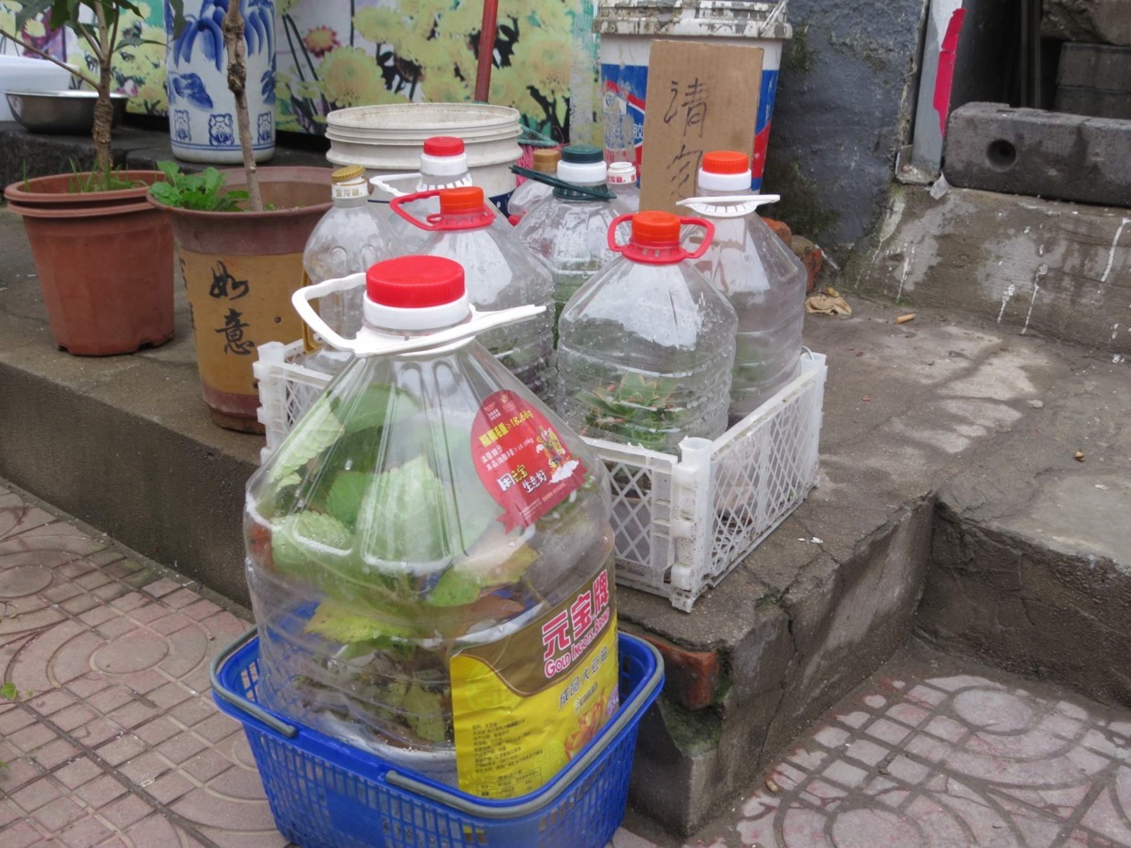 油桶|废弃的油桶别再扔了，简单处理一下，简直就是养花“神器”！