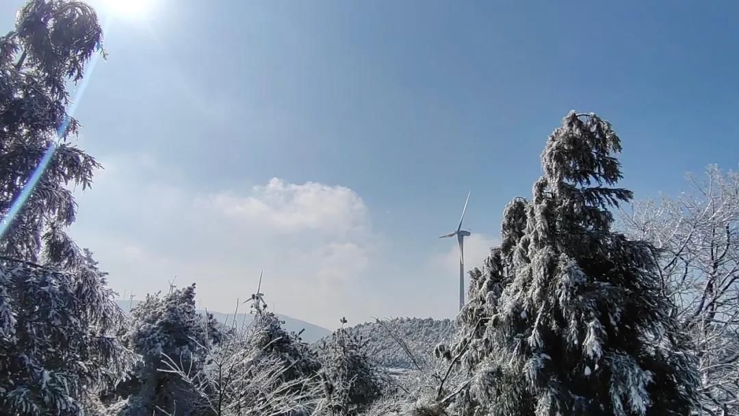 雾凇|绝了！天台冬季美景，宛如冰雪世界！一天看8小时都不够!