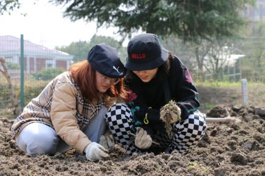 收获满满 松江大学生在校园里“种布”