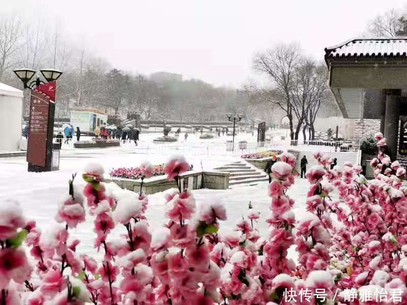 老年|八达岭长城白雪皑皑 游客大呼“来值了”！