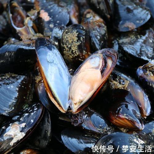 生蚝|听名字误以为是蔬菜,被称“海中鸡蛋”,比鱼虾营养,比生蚝鲜美