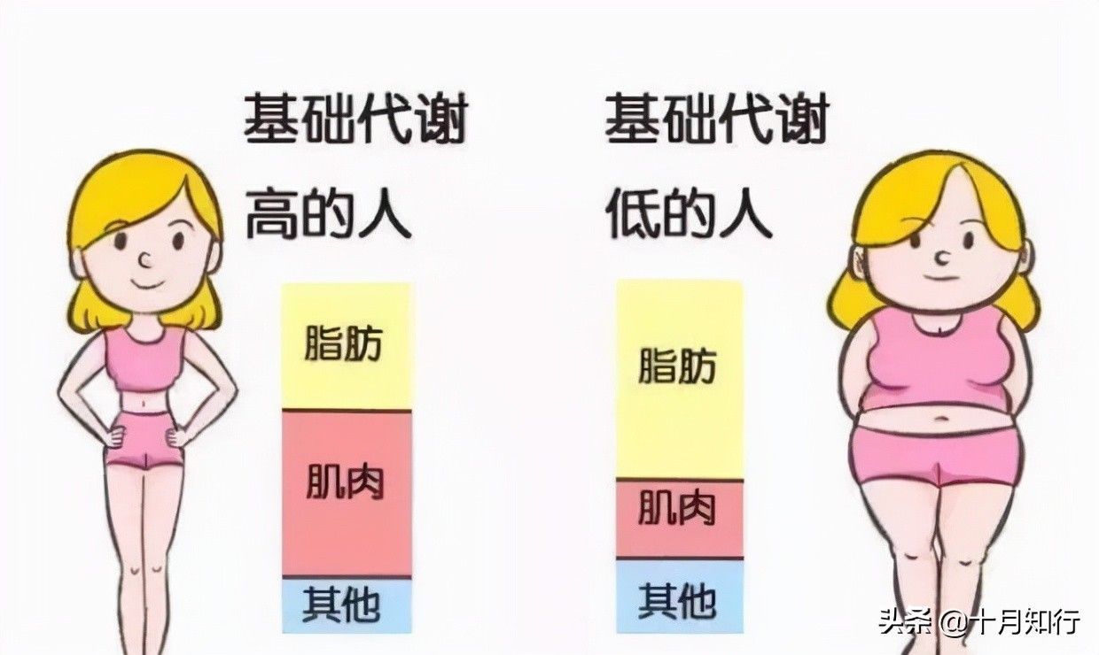 臀腿部|臀腿训练有什么好处,如何练?分享一组自重动作,让臀腿协调发展