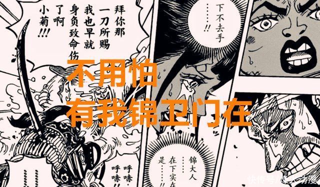 马尔科|海贼王1016话:锦卫门比路飞还强?索隆单挑烬，马尔科转线大妈