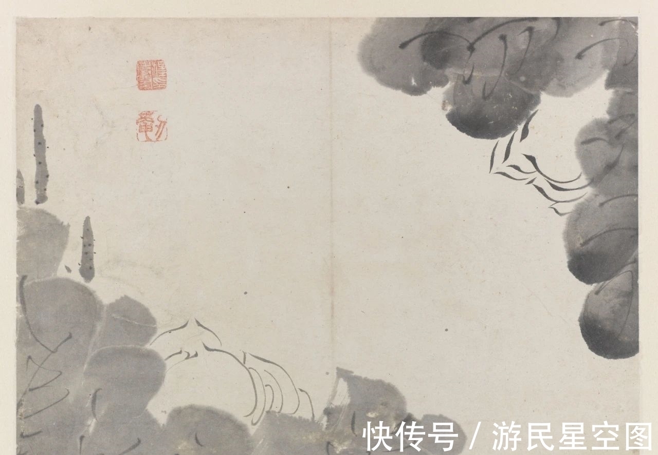 津门&「津门网」见画如见字、见字如见人,看这组清新的荷花您有啥感受