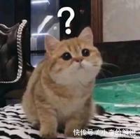 谎言|比「蹭蹭不怀孕」更恶劣的谎言，99%的女生都被骗过