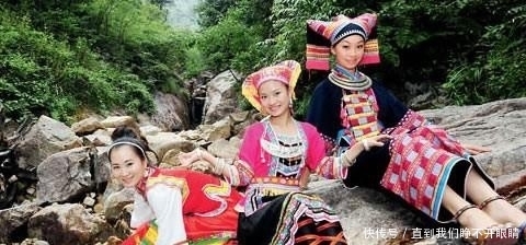 画卷|古树参天、掩天遮日、曲径幽远,一幅绚丽多彩的画卷