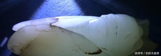 东西|为何古人死后嘴里都要含东西 慈禧的最昂贵, 乾隆的含义最深!