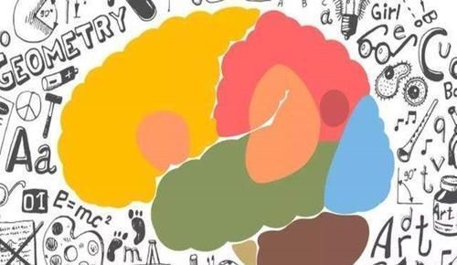 行为|哈佛研究发现:这6种行为会导致孩子大脑“变笨”,父母别大意了