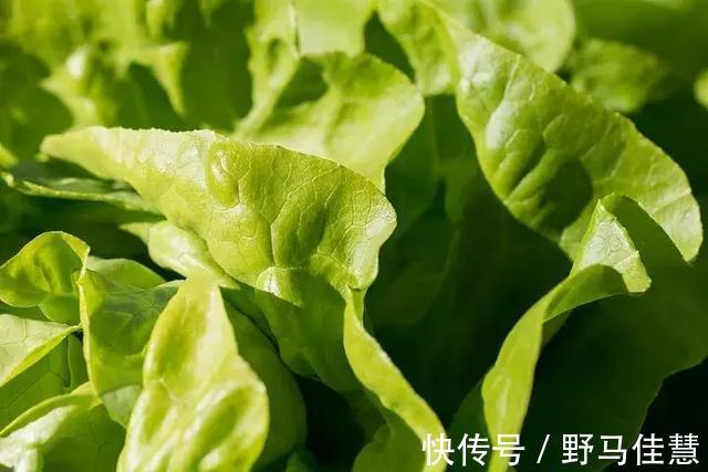 蔬菜|药补不如食补,日常蔬菜功效一览表!您的体质该吃什么一目了然!
