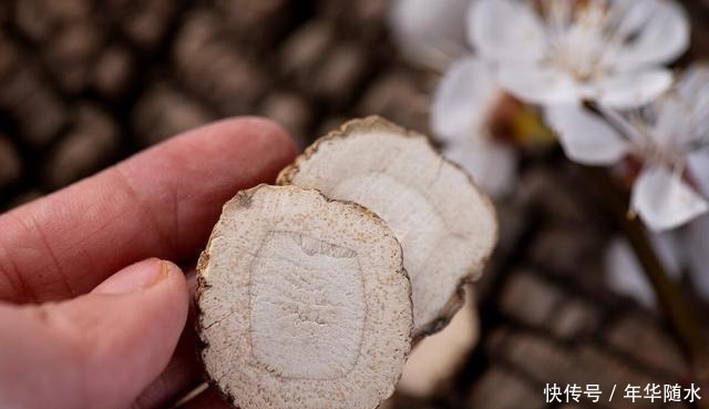羊肉的时|大雪节气适合吃羊肉,这4种调料缺一不可,炖出来的羊肉不膻特香
