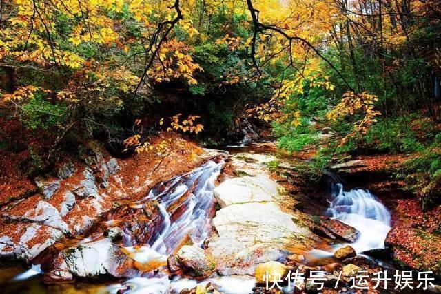 岭南#苏轼最经典的16首诗,一首一个名句,每一首都值得背下来