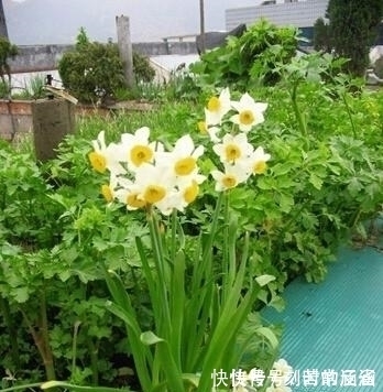 专一|表面看起来无情,其实很重感情,特别专一的星座