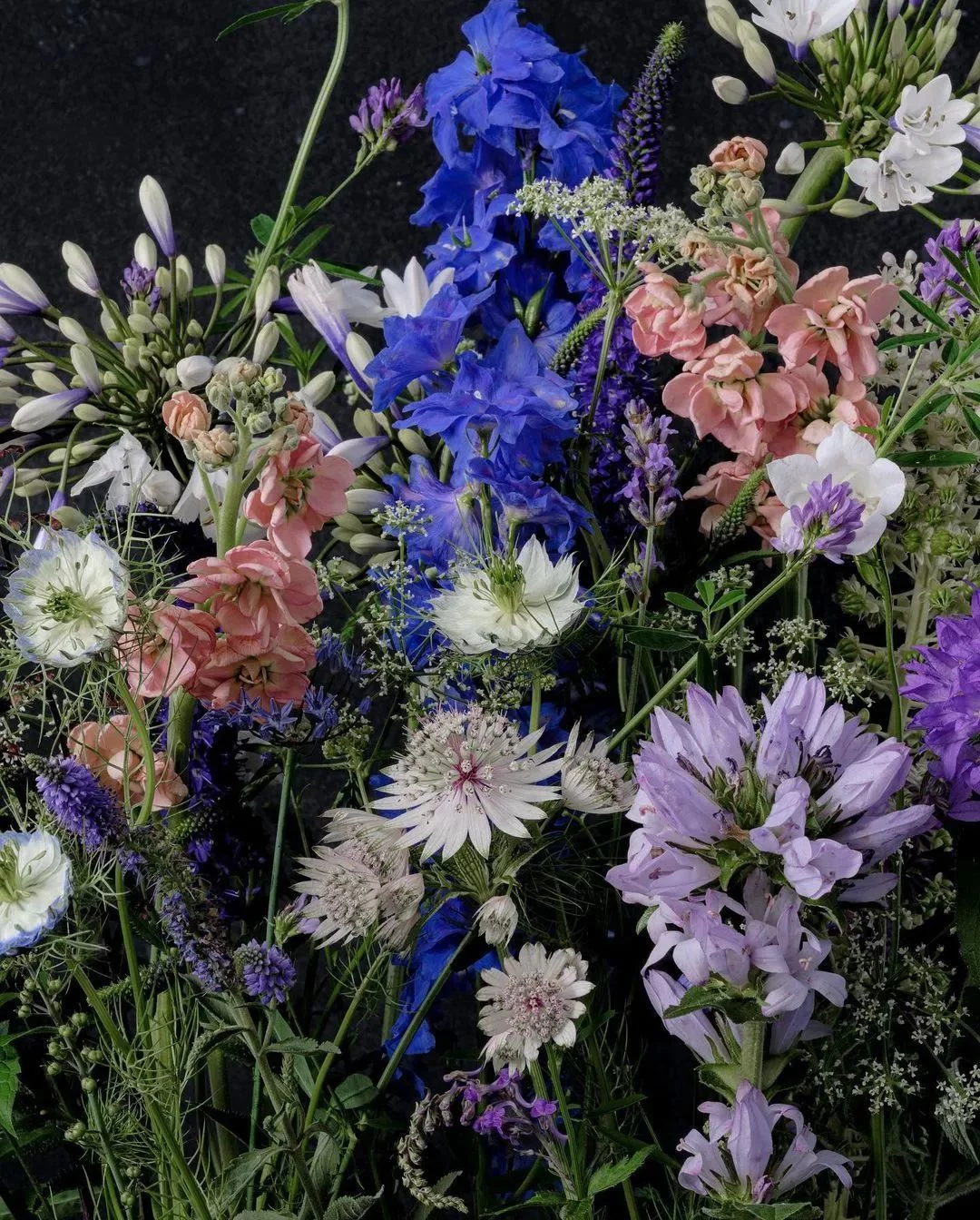 天下风物——《【平凡英雄非凡力量】诗韵咏合》风光题照