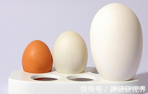 鹅蛋|孕期吃鹅蛋能“去胎毒”吗吃鹅蛋要注意什么,一次性说清