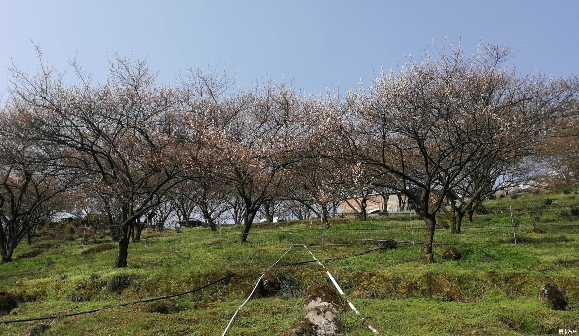 重游大坪山