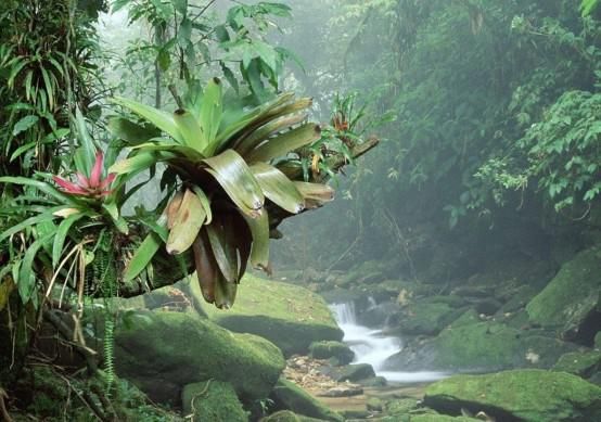 如果地球下起一场持续10000年的雨,人类会毁灭吗?