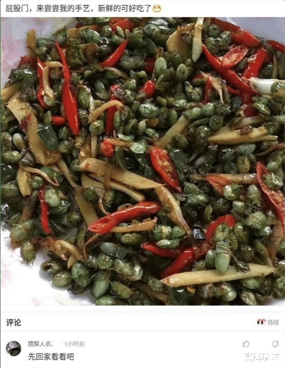 |沙雕段子奥运会游泳馆的网速不行啊,连2M都达不到