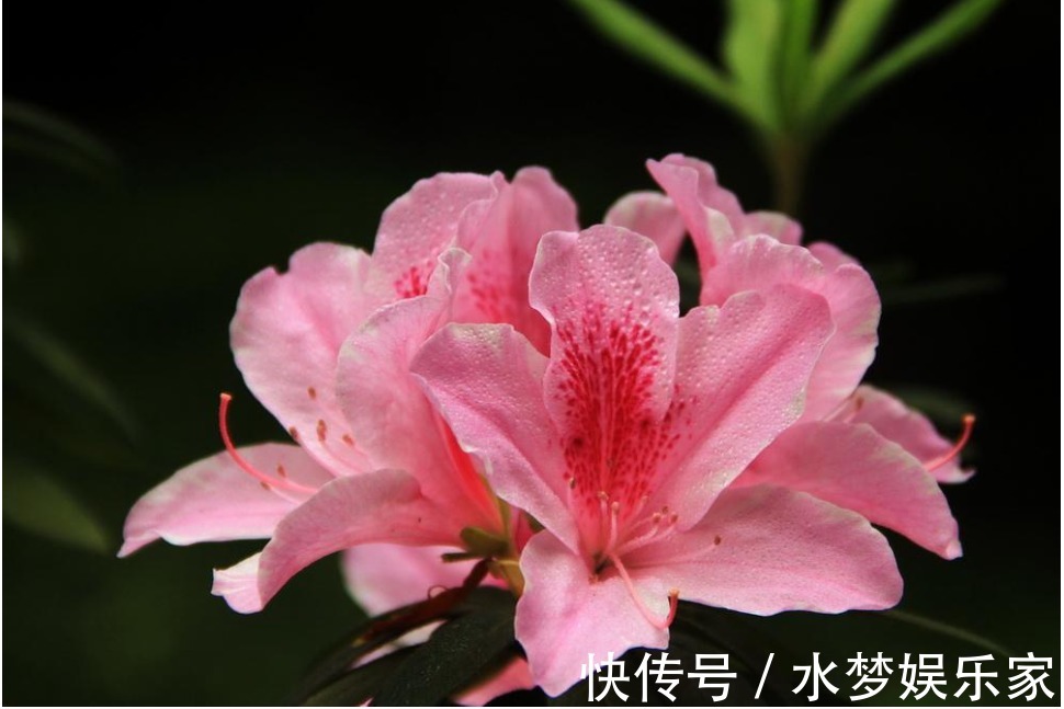 婚得|老祖宗说“一家不容三姓人”,分别是哪“三姓”,结了婚得看看