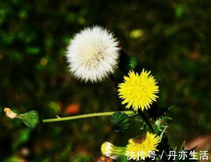 维生素c|女人月经走后, 这些食物要多吃, 排出卵巢毒素, 越吃越年轻