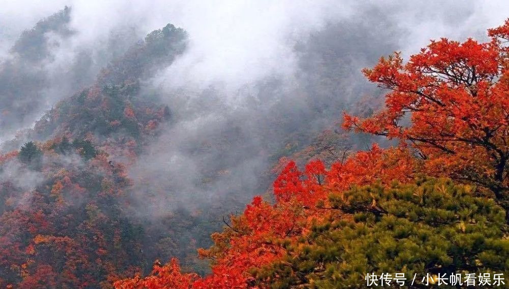 猫儿山|【免费门票】猫儿山又红了！人少景美还免费，来这就够了