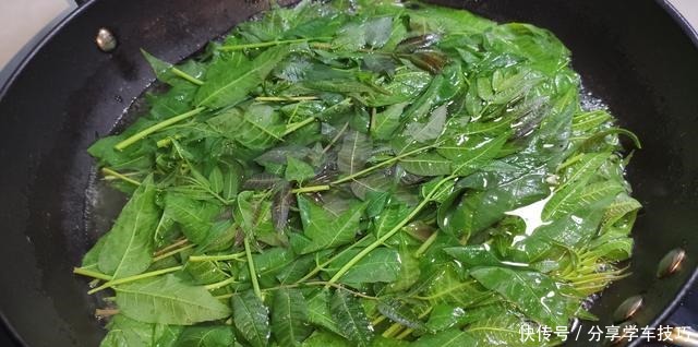 香椿吃不完，教你如何保存香椿，特别简单，随吃随取