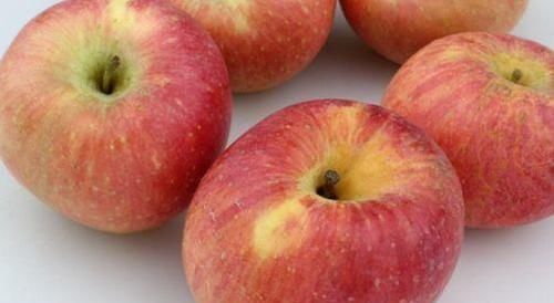 蘋果到底早晨吃還是晚上吃好，很多人都吃錯(cuò)了，別怪我沒提醒你
