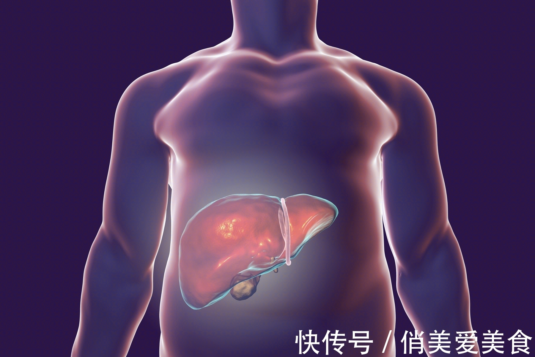 血脂|养血管等于攒寿命!血脂越高,3种病越容易找上门,希望你不占