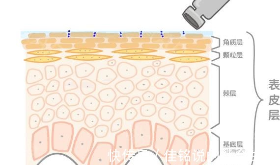 混搭 这些护肤品成分不能混搭,你知道吗!