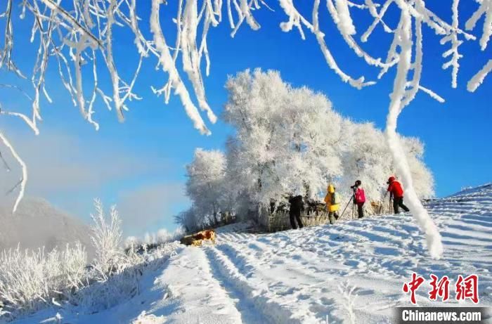  雾凇|中国东北原始雾凇村的冰雪“热线”