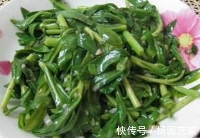 抑菌|救心菜又成“救命菜”,食药两用价值很高,抑菌补血,美容降压