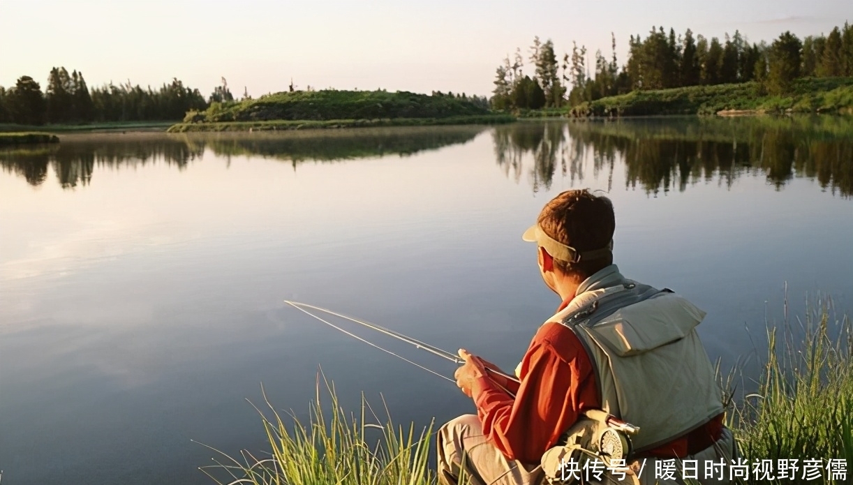 氧度|夏季野钓鲤鱼有绝招,想要爆护这些关键点你要知道!——盛世三渔