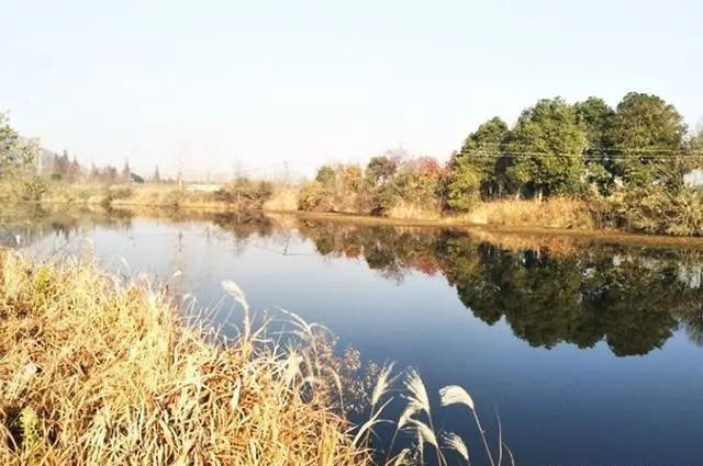 冬季钓鱼4字诀分享，新手掌握这些，一样可以钓到鱼