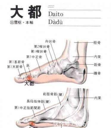 隐白穴|每人身上都有一个脾经大药房,3招打开它,补脾通络,胜吃补药!