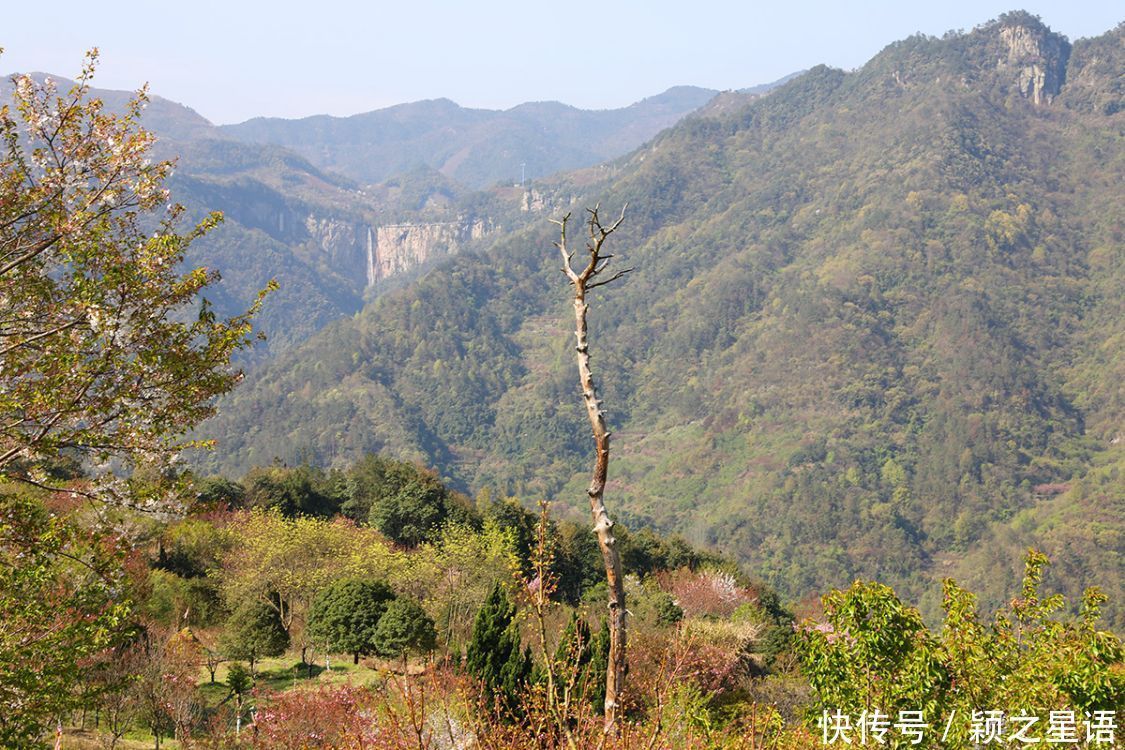 高山村落，樱花盛开，天空之境，天上人间