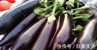 茄子|茄子最好吃的做法,不管男人女人都爱吃,一人就能吃光一大盘!