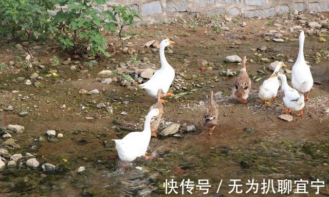 形状|实拍 烟台福山郊区有座“狮子山”, 山的形状像狮子头