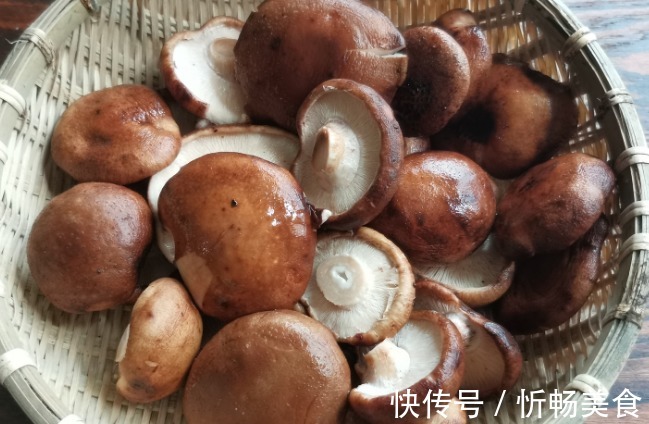 香菇多糖|常吃香菇的人,身体不会太差,但需牢记1“禁忌”,早知早好