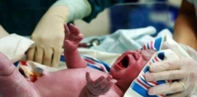 宝宝们|宝宝出生后的10几分钟里,都在做些什么原来他比妈妈还忙