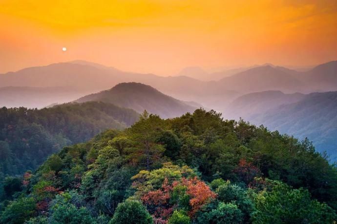 原始森林|高温席卷的初夏，不如去这些堪比童话仙境的小众森林里乘个凉